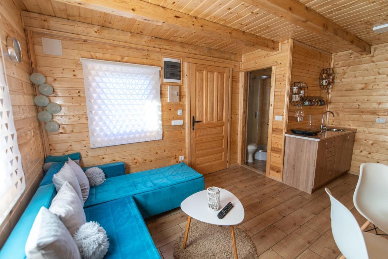 Brvnare Madera Banja Zdrelo Vila Exterior foto
