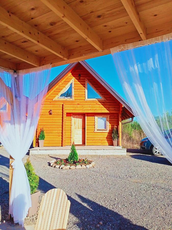 Brvnare Madera Banja Zdrelo Vila Exterior foto
