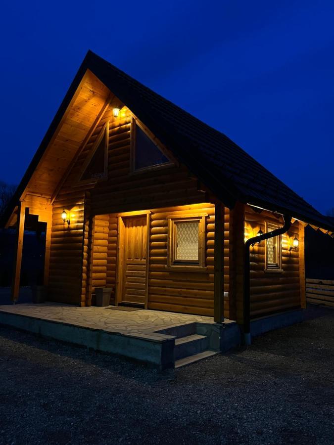 Brvnare Madera Banja Zdrelo Vila Exterior foto